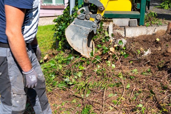 Hedge Removal Service in Stamford