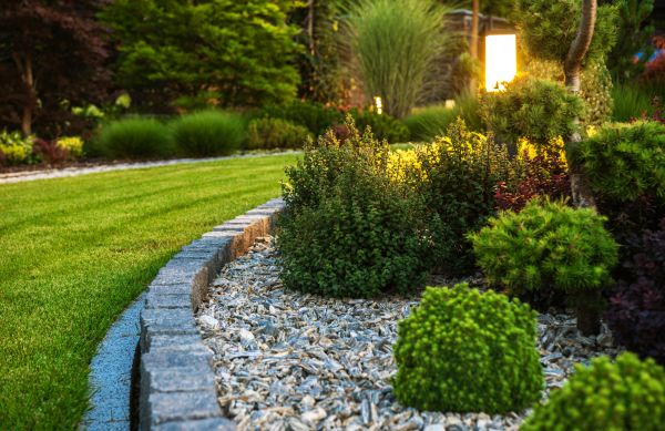 Cost of Bush Relocation in Stamford