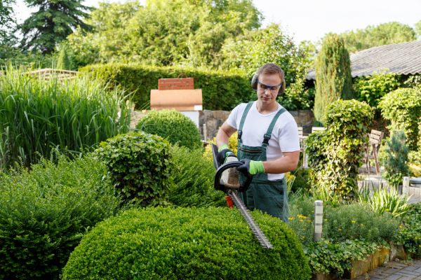 Shrubs Trimming in Stamford