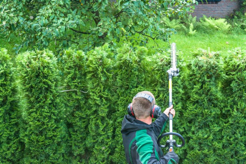 Evergreen Hedge Trimming
